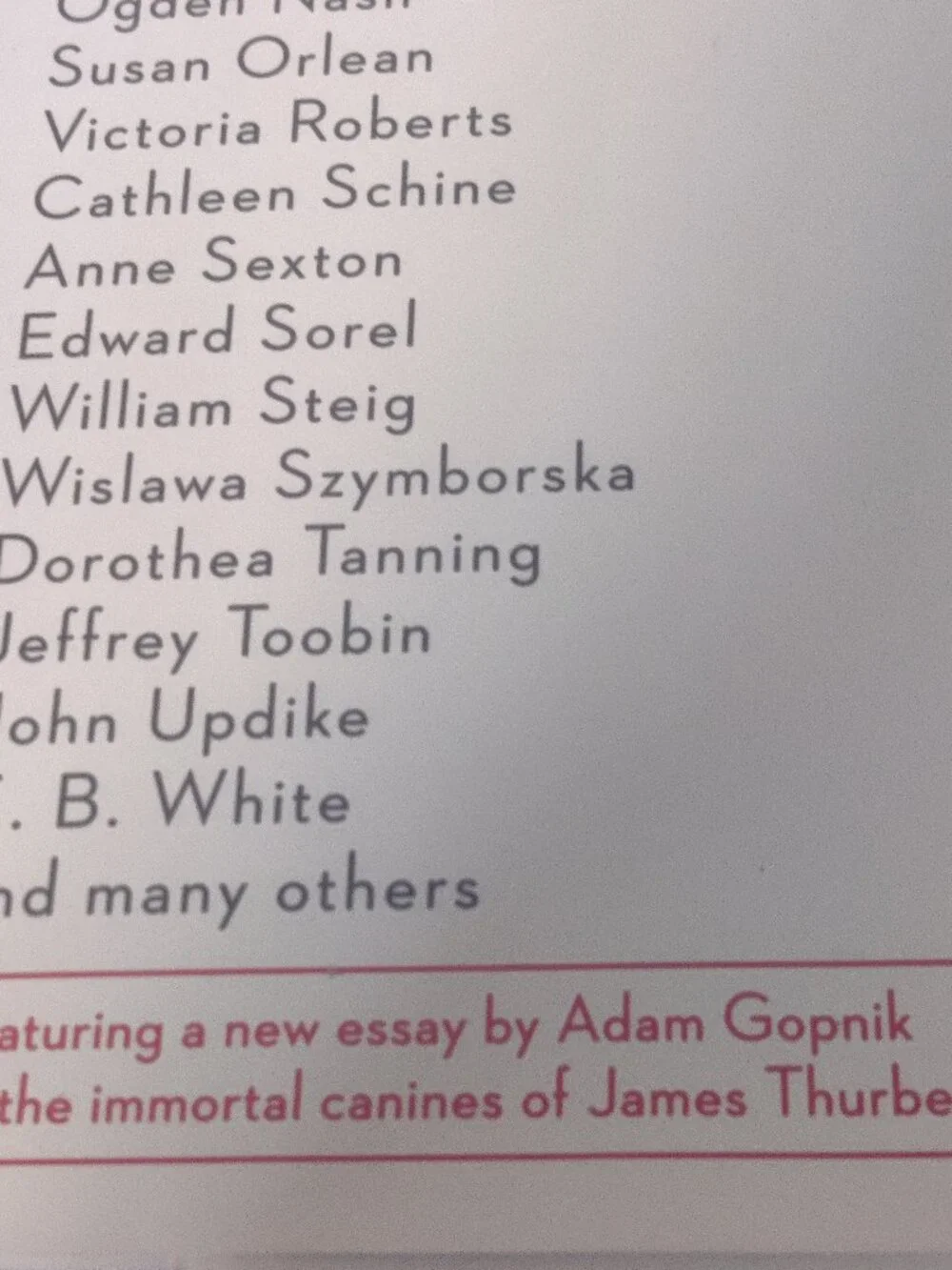 New Yorker book photographs